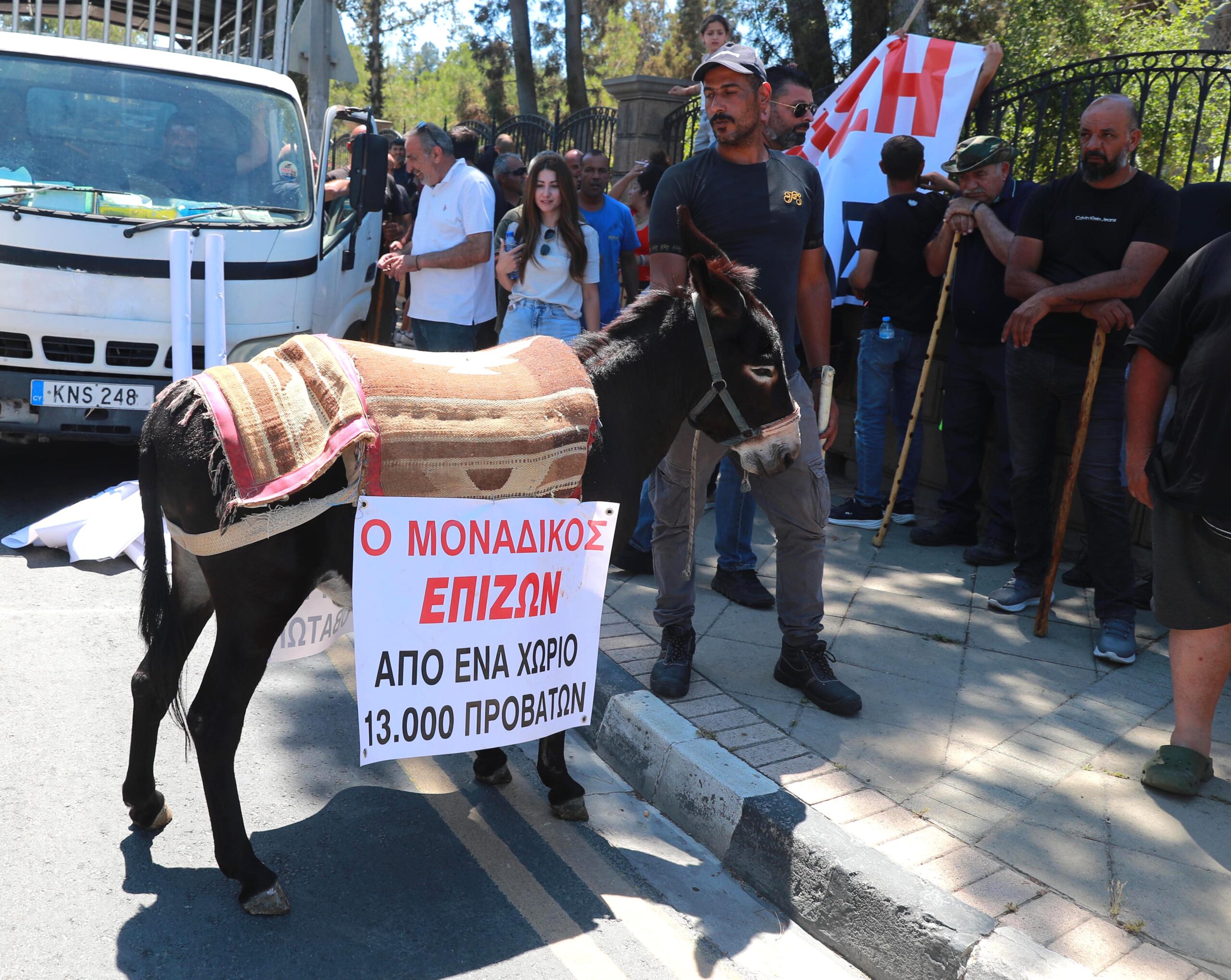 Το συμπαθέστατο τετράποδο τι τους έφταιξε;
